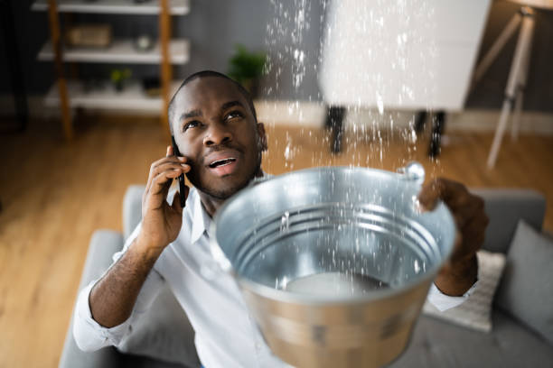 Best Sewage cleanup and water damage restoration  in Brunswick, OH