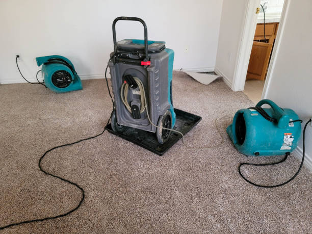 Best Flood damage cleanup  in Brunswick, OH