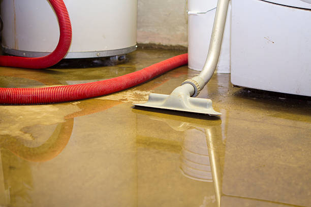 Best 24/7 water damage repair  in Brunswick, OH