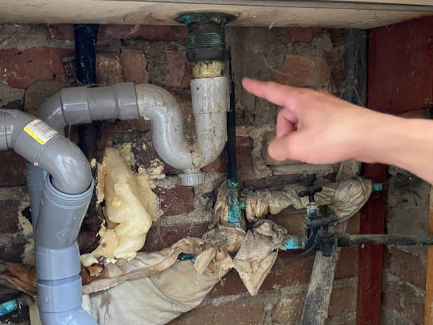 Best 24/7 water damage repair  in Brunswick, OH