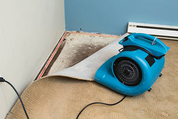 Best Professional water damage repair  in Brunswick, OH